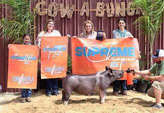 Top Cut Sired Champions