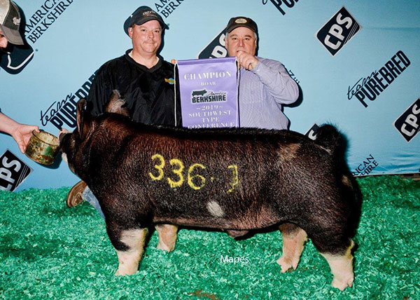 Top Cut Genetics - Gold Digger