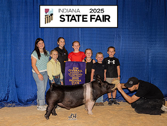 5th Overall D1 Dark Cross Barrow 
2025 Indiana State Fair